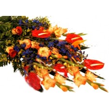 Beautiful Wrapped Flowers.Colors